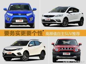 精品国产自,探索我国自主创新的辉煌成就